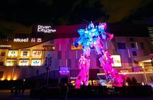 Private Tour in Tokyo 5 Cities and 10 Points Day or Night 