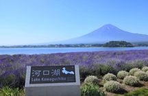 Mount Fuji Full Day Tour form Tokyo Lake Kawaguchi & Yamanaka