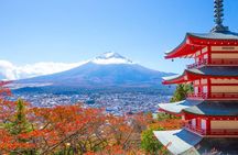 Mount Fuji Full Day Sightseeing Tour from Tokyo