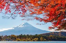 Mount Fuji Full Day Tour form Tokyo Lake Kawaguchi & Yamanaka