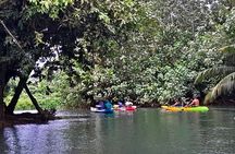 Discovery in Kayaking of the Faaroa River in Raiatea