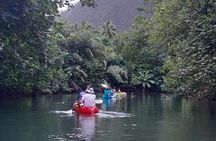 Discovery in Kayaking of the Faaroa River in Raiatea