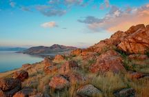 Private Wildlife and Scenic tour on Antelope Island