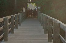  Zip Line + horse riding & Buggy RD Punta Cana 