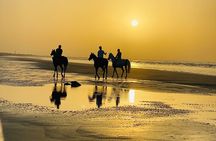 Sunset Horse Riding on the beach