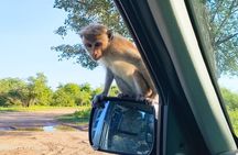 4 Hour Private Safari Tour in Udawalawe National Park