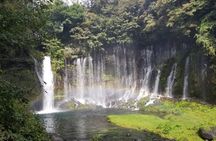 Mt. Fuji area Tour from Shimizu Port / Medium Bus