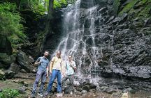 Mt. Fuji Private Chartered Tour with Nature & Wasabi Farm