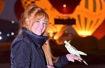 1 Day Private Luxor Tour from Hurghada with Sunrise Balloon Ride