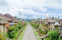 Private Tour Besakih Mother Temple, Waterfall with Transfers