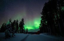 Ivalo: Aurora Hunting with Reindeer