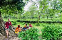 Charubala Homestay: A Community-Based Homestay in, Bangladesh