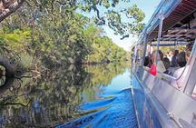Noosa Everglades Tour with River Cruise and Hinterland Villages