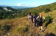 A walk on Monte Pisano