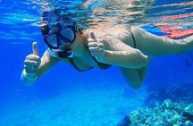 Private Speedboat Dolphin Swim & Parasailing Adventure _ Hurghada