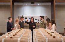 Visit to Bodegas Izadi