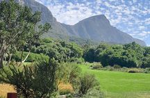 Constantia Private Tour 15 Wine Tasting and Kirstenbosch Garden