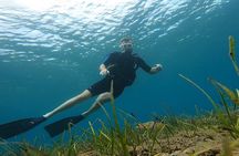 Open Water Course in Nea Makri, Athens