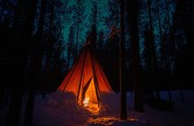 Ivalo: Wilderness Adventure by Snowmobile Sleigh
