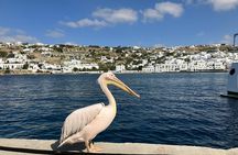 Highlights of Mykonos: Guided 4-Hour Island Adventure
