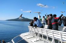 Explore Peulla Full Day Tour from Puerto Montt