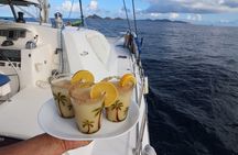 Hakuna Matata - St Maarten Catamaran day cruise