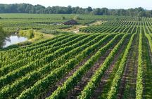 Wine Tour in Niagara-on-the-Lake