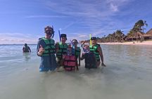 Private Marine Biologist–Led Turtle Snorkel Ethical & Educational