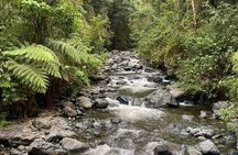 Pance Trail: Experience Waterfalls, Wildlife, and Scenic Views