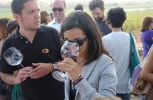 From Valencia: Vineyard Tour with Local Wine Tasting & Appetizer