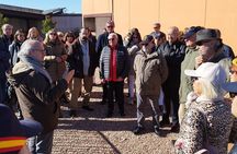 From Valencia: Vineyard Tour with Local Wine Tasting & Appetizer