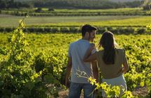 From Valencia: Vineyard Tour with Local Wine Tasting & Appetizer