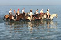 Horse Riding Tour in Hurghada – 3Hours Desert & Sea with Transfer