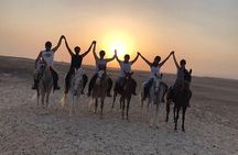 Horse Riding Tour in Hurghada – 3Hours Desert & Sea with Transfer