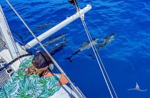 3hr Luxury Private Sailing Catamaran in Waikiki for 1 to 6 People