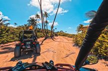 San Juan: El Yunque Waterfalls & Scenic Beach Buggy Adventure