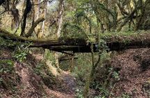Amazing Walk through the Zapotec Mountains with Hot Chocolate