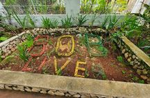 Bob Marley Mausoleum - Nine Mile Private Tour St. Ann Ocho Rios