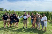 Lunch in the Vineyard: A Scenic Niagara Wine Tour Experience