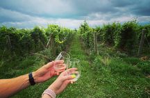 A Twilight Wine Adventure with 3-Course Dinner