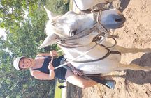Borinquen one day tour (zip line- horses- hot springs)