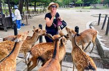 Morning Wonder World Heritage Nara Guided Tour