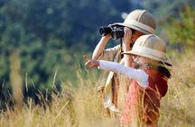 9 Days African Wild Safari and Beach Tour