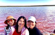 2 Days One Night Tour at Pink Lake Natures Window and Pinnacles