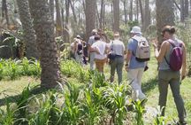 Full day trip the unknown Pyramids Maidum, Hawara and El Lahun