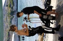 Scuba Diving for Beginner and Experts in Pefkos Lindos 