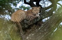 3 days masai mara from nairobi