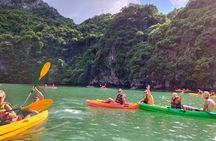 Hanoi Luxury Day Cruise to Ha Long Bay All Inclusive with Buffet