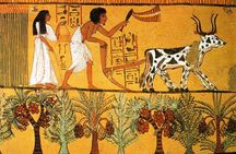 Luxor Tour to the Valley of Workers, Habu Temple and Valley of Nobles