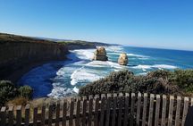 Melbourne: Private Great Ocean Road & 12 Apostles Tours